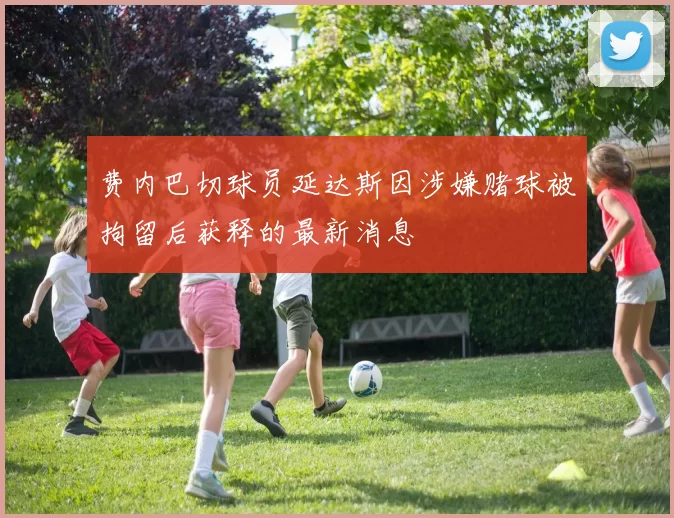 费内巴切球员延达斯因涉嫌赌球被拘留后获释的最新消息